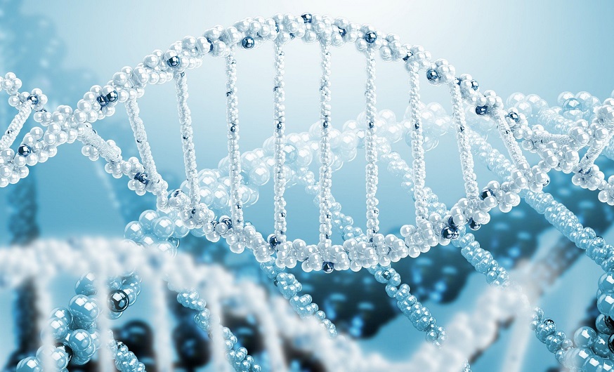 Medical Near East University Hospital