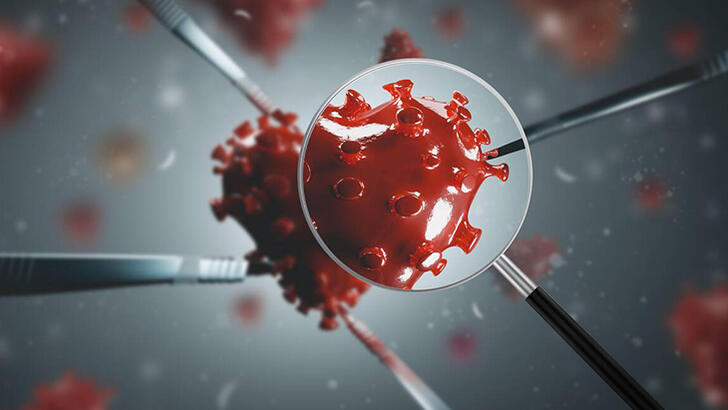 kktc de ilk kez ocak ayinda gorulen mutasyonlu virus vakalari subat ayinin ilk 10 gununde 3 5 katina cikti near east university hospital kktc de ilk kez ocak ayinda gorulen mutasyonlu virus vakalari subat ayinin ilk 10 gununde 3 5 katina cikti near east university hospital